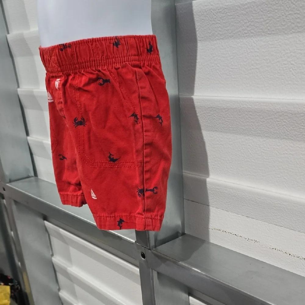 Carter's Red Relaxed Fit Shorts with Embroidered Pattern‎